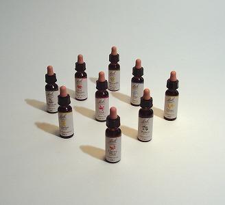 �o�b�`�t�����[�����f�B