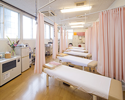 �ӂ���ڍ��@�f�×p�x�b�g