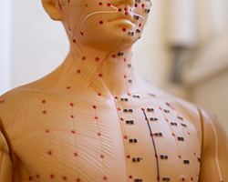 �c�{�}�l�L��