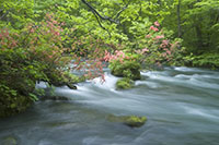 �������k���t